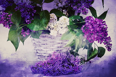 Textur, Hintergrund, Flieder, lila Blumenstrauß, Blumen, Frühling, dekorative