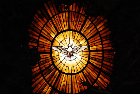 the vatican, dove of peace, vatican, rome, peace, spiritual, cultures