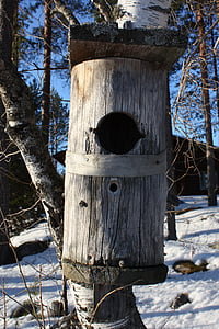 birdhouse, nestbox, nature photo