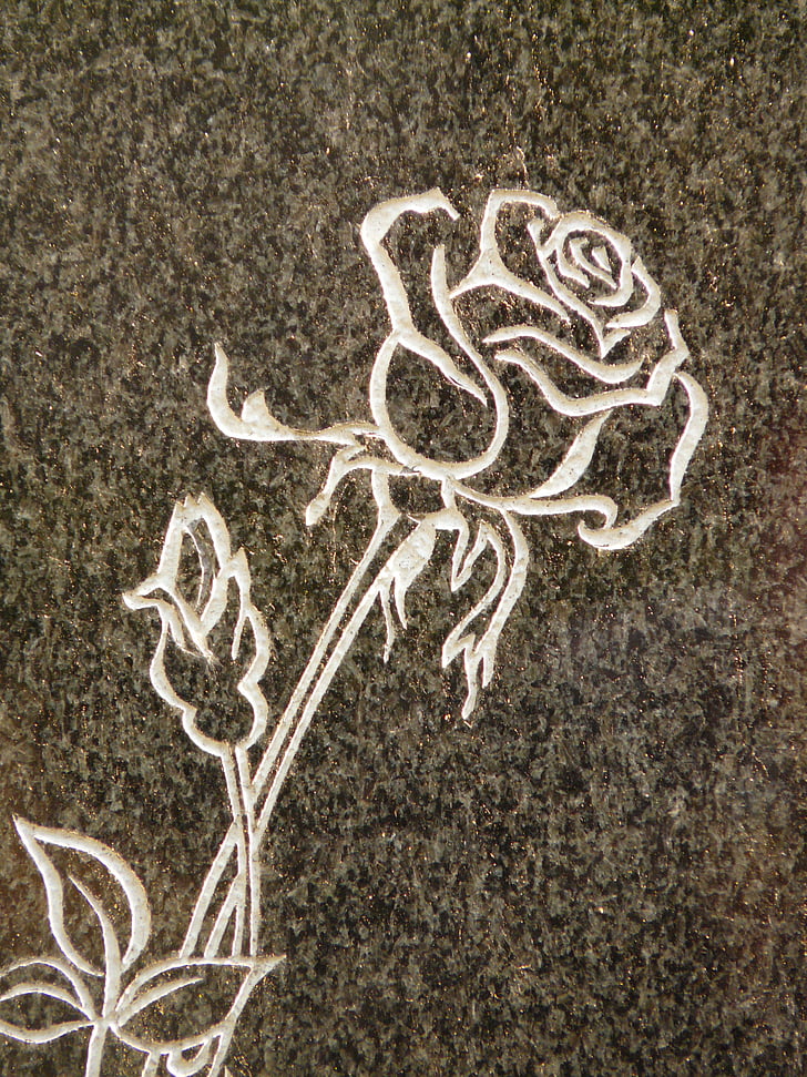 Rose, nagrobnik, Trnovit, rastlin, trn, Die, smrt
