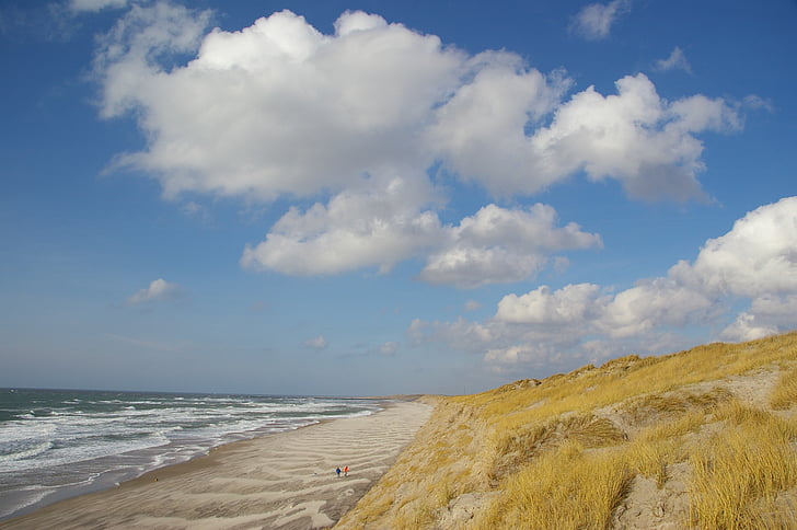 Playa, dunas, Dinamarca