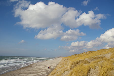 plage, dunes, Danemark