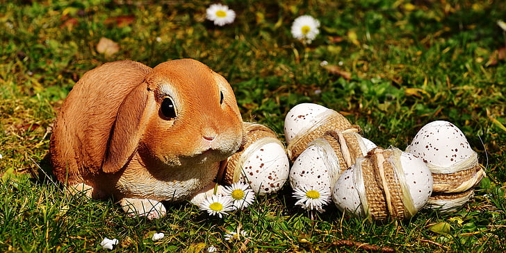 Veľkonočné, Veľkonočný zajačik, vajcia, veľkonočné vajíčka, lúka, jar, Veselú Veľkú noc