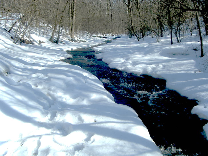 냉동, 강, 물, 얼음, 겨울, 눈, 자연