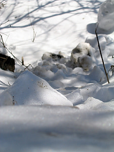 sneg, hladno, svetlobe, pozimi, polje