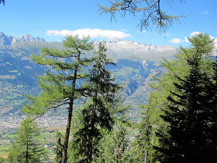 Alpina, Suíça, Verão, montanhas, Alpes suíços, paisagem, Alp