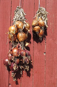 onions, drying, vegetable, dry, wood - Material