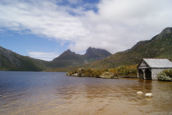 Cradle mountain, sjön, vandring, Tasmanien, nationalparken, landskap, Mountain