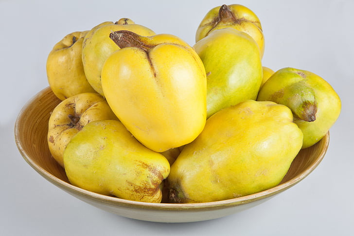quince, yellow, fruits, pome fruit, fruit, quince fruit, fruit tree