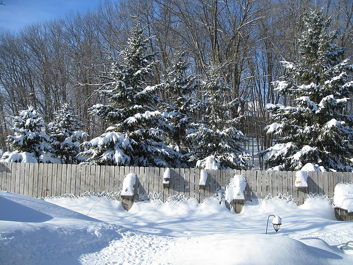 recinzione, boschi, stagione, bianco, freddo, ghiaccio, neve