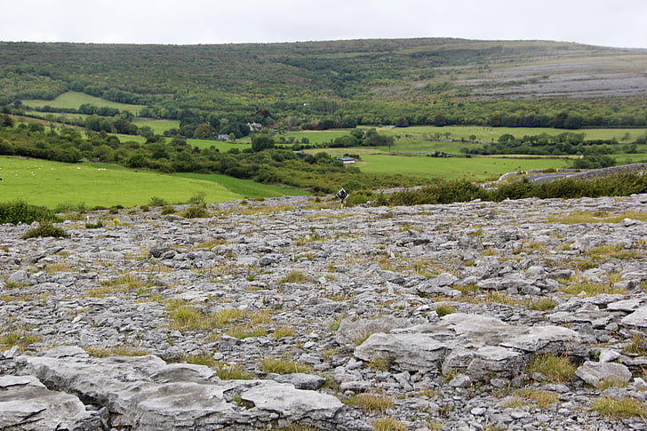 Burren, Irlanda, paisagem, Irlandês, rocha, pedra, natureza