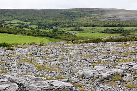 Burren, Ирландия, пейзаж, Ирландски, рок, камък, природата