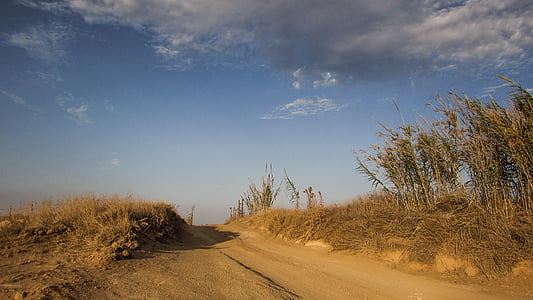 dirt road, countryside, dusty, autumn, clouds, sky, reeds