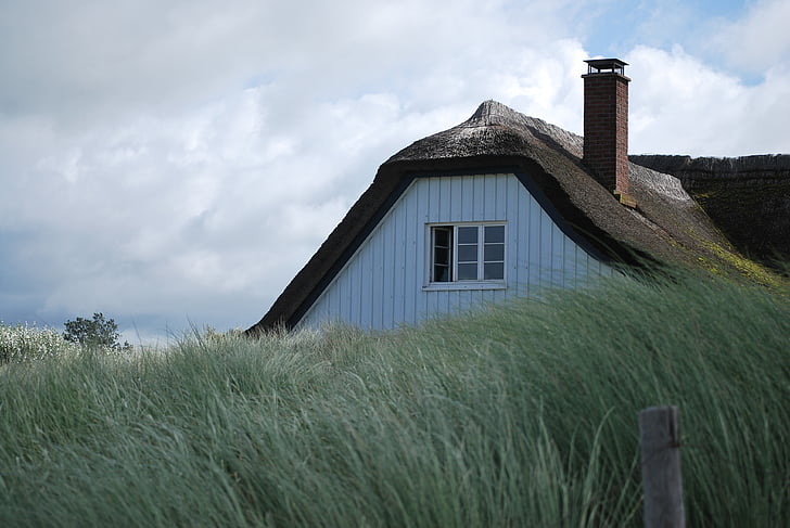 baltic sea, reed roof, coast, sea, darß