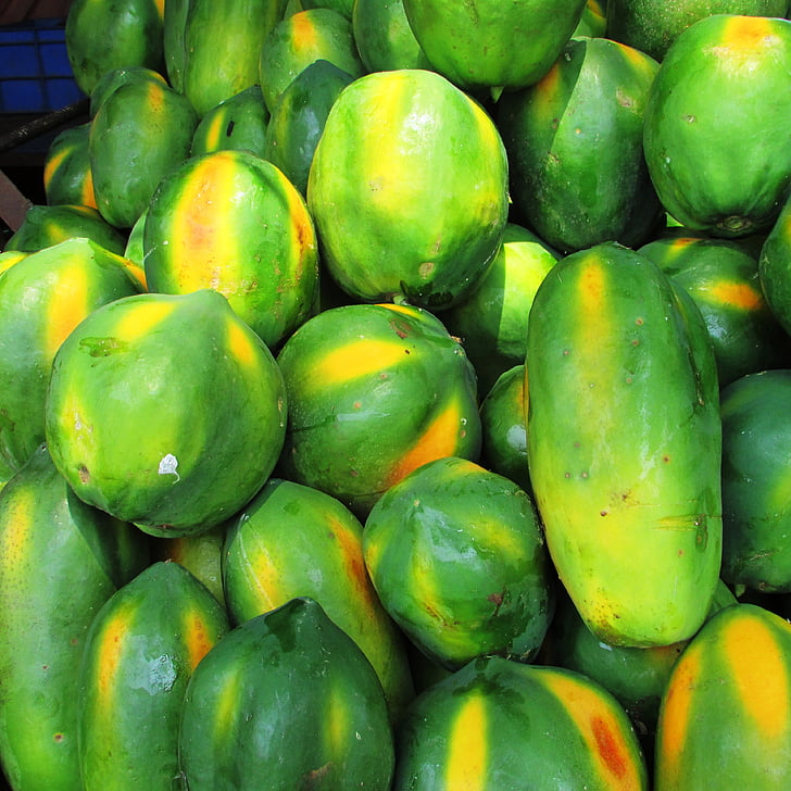 papaya, fruta, verde, tropical, exóticos, montón de, malebennur