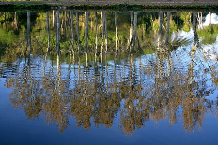 lake, trees, landscape, reflections, sky, water, reflection