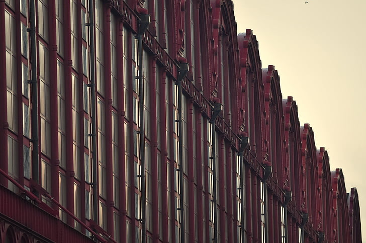 building, architecture, facade, red, windows, antwerp, central station
