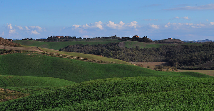 Val d'Arbia, Siena, Italia, paesaggio, agricoltura, natura, Scena rurale