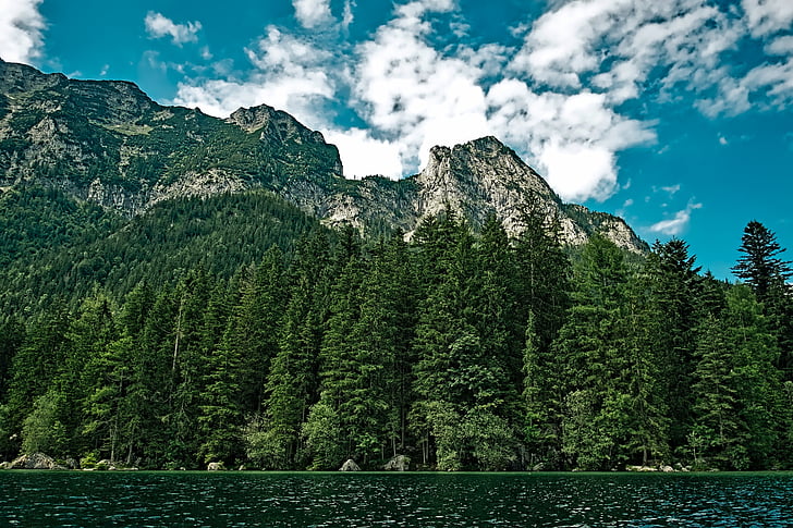 forest, lake, landscape, mountain, nature, scenic, trees