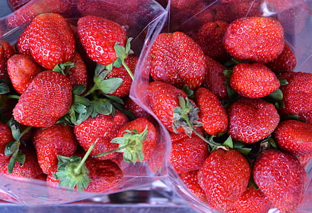 草莓, punnet, 红色, 水果, 食品, 新鲜, 成熟
