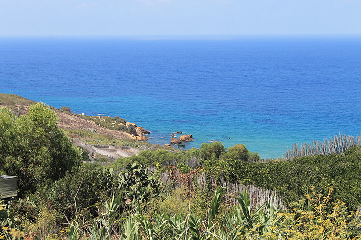 coast, gozo, mediterranean, trees, sea, beach, ocean
