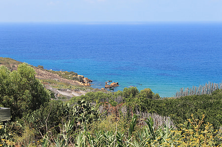 tengerpart, Gozo, mediterrán, fák, tenger, Beach, óceán