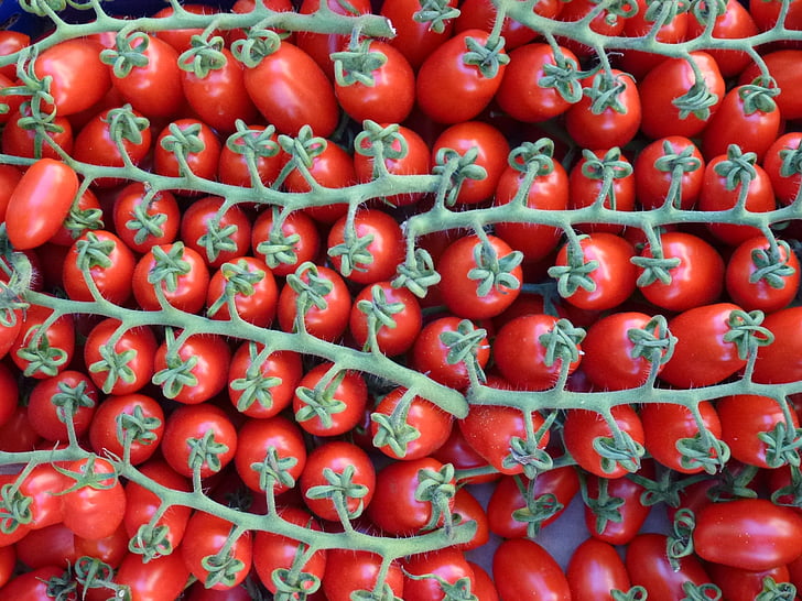 màu đỏ, cà chua, trên cây nho, rau quả, vegetarsisch, khỏe mạnh, trusses
