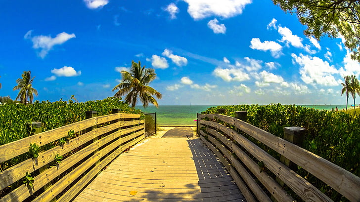praia, Miami, paisagem, árvore, Atlântico, paraíso, ensolarado
