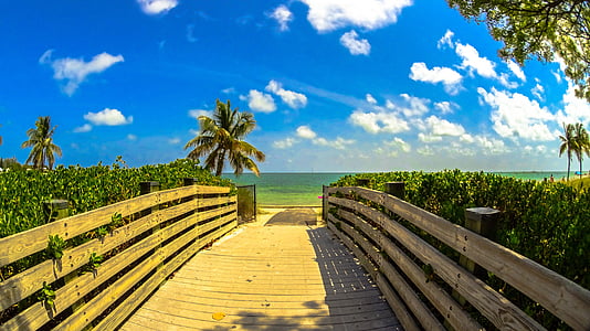 пляж, Майами, пейзаж, дерево, Атлантический, Рай, Солнечный