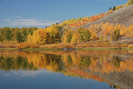 paisagem, cênica, Lago, reflexão, Oxbow bend, Parque Nacional de Grand teton, Wyoming
