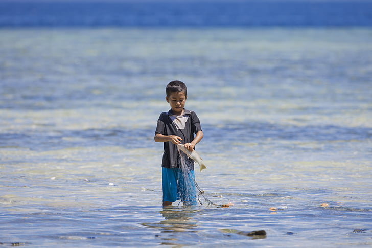 garçon, pêche, Halmahera, îles de WIDI, ami, Indonésie, Uchin