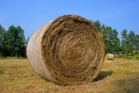 harvest, rundballepresser, hay, field, summer, food, agriculture