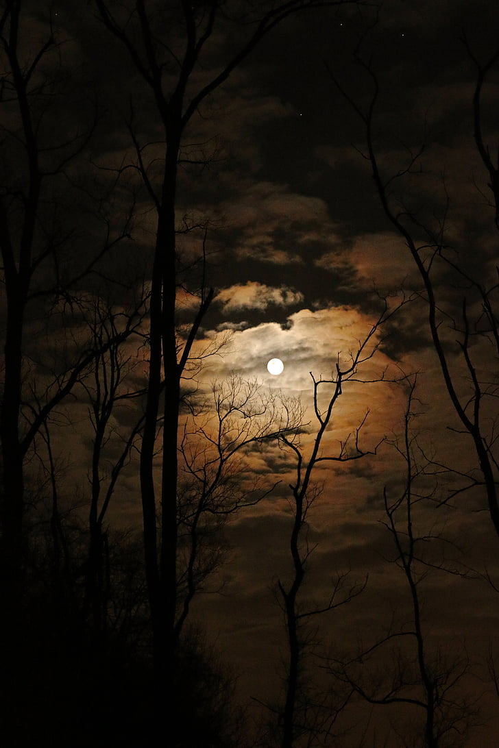 pun mjesec, tamno, sablastan, nebo, oblaci, mjesec, noć