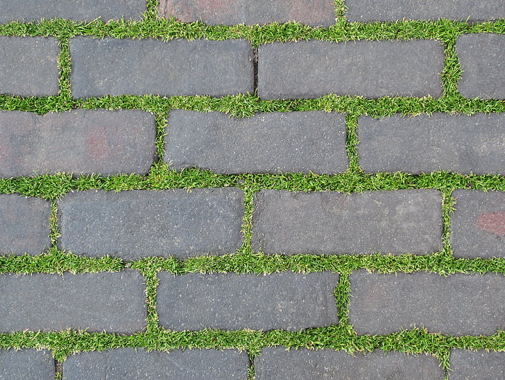 pavement, plant, bricks, nature, grass, green, stone