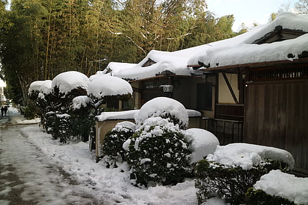 눈, 란 산, 통나무집, 겨울, 감기-온도, 야외에서, 자연