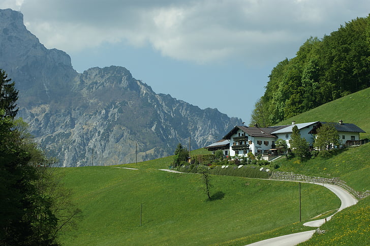 berchtesgardener, pozemky, schefau