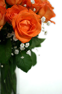 ruusut, kimppu, häät, Strauss, Onnittelen, kimppu ruusuja, Rose - kukka