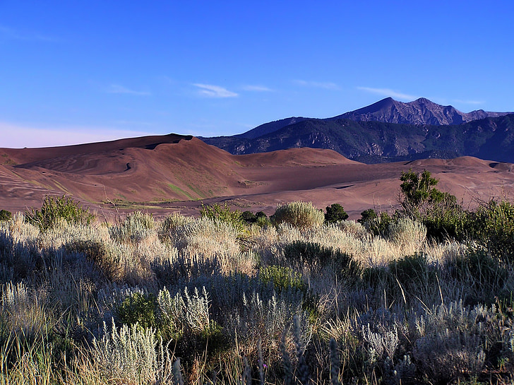 Colorado, krajina, malebný, písečné duny, hory, tráva, rostliny