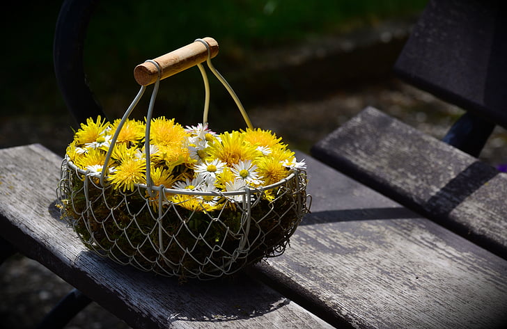 mniszek lekarski, Daisy, kwiaty, Kosz kwiatów, kwiatowy pozdrowienie, dzień matki, żółty