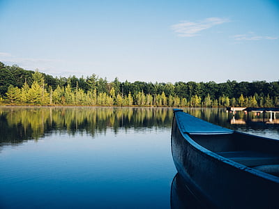 kano, søen, skov, natur, vand, kanosejlads, båd