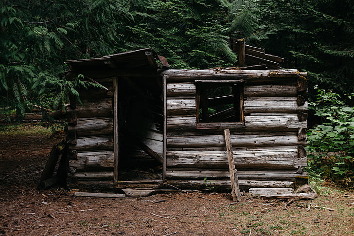 white, wooden, tool, shed, wood, building, abandon