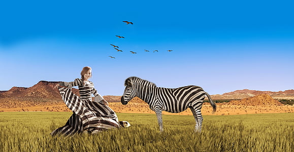 mulher, vestido, linda, Zebra, moda, África, savana