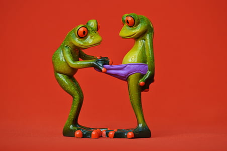 frogs, curious, funny, figures, cute, underpants, look