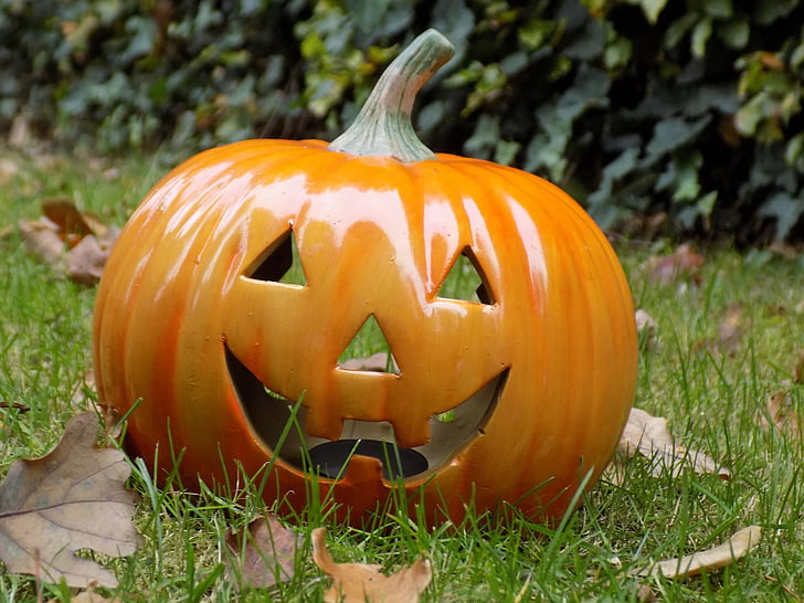 calabaza, Halloween, decoración, naranja, otoño, Jack o ' lantern, cara antropomorfa