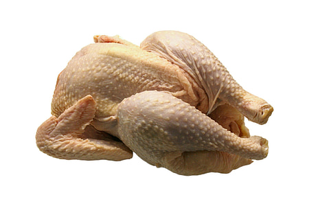 chicken, broiler, meat, animal, food, seafood