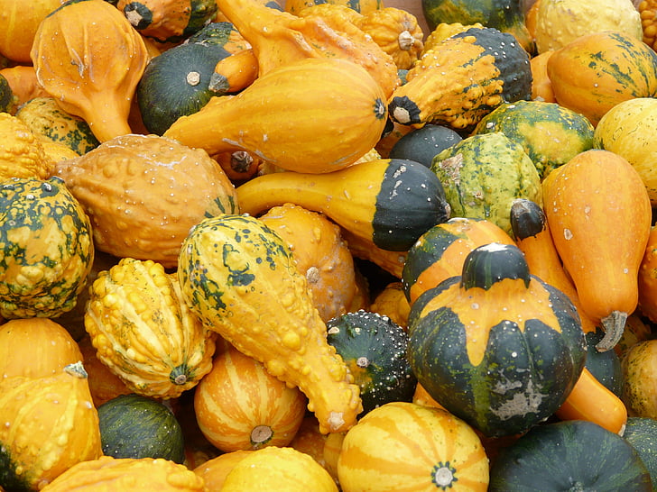 decorative squashes, pumpkins, yellow, green, vegetables, sale, market