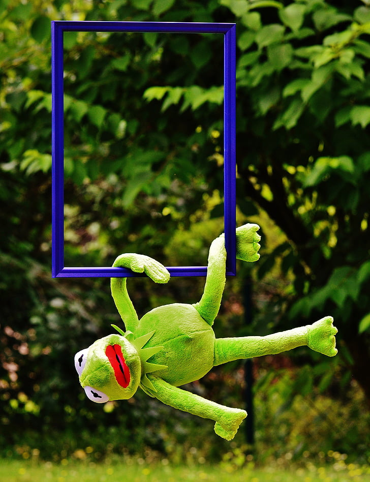 out of the ordinary, kermit, frog, funny, anders, unusual, untypical