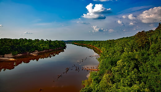 fiume Alabama, acqua, riflessioni, cielo, nuvole, foresta, alberi