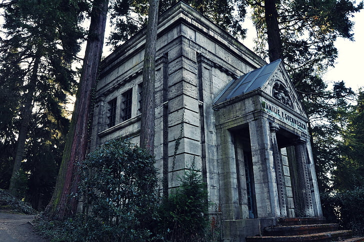 crypt, cemetery, death, tomb, horror, tree, architecture