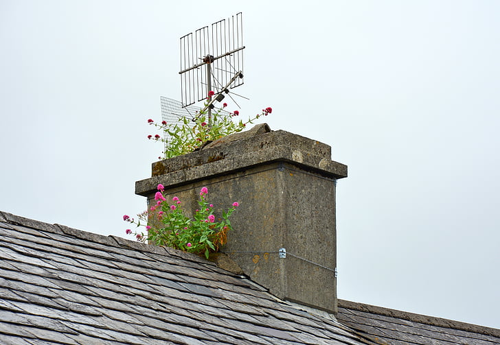 chimney, fireplace, ireland, schull, unused, chimney cover, roofs